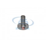 FLANGED SHAFT (BEARING SIDE)