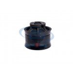 PISTON RAM 2 HOLE DN230