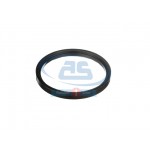 THRUST RING DN200