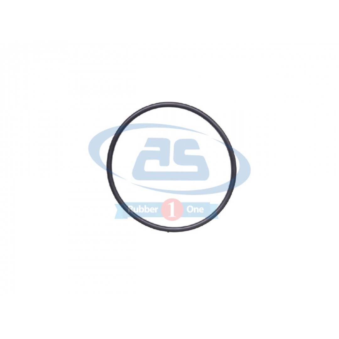 O RING 170x81x7