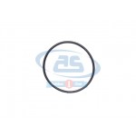 O RING 170x81x7