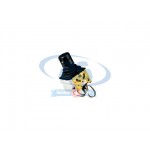 STAR HANDLE SWITCH
