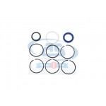 ELEPHANT CYLINDER SEAL SET